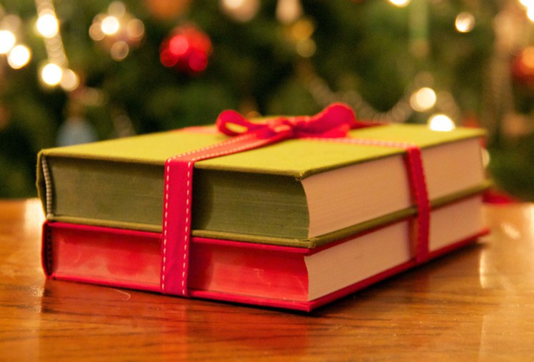 A Biblioterapeuta - Biblioterapia - Sandra Barão Nobre - 12 livros para presentes de Natal 2018 - Ficção