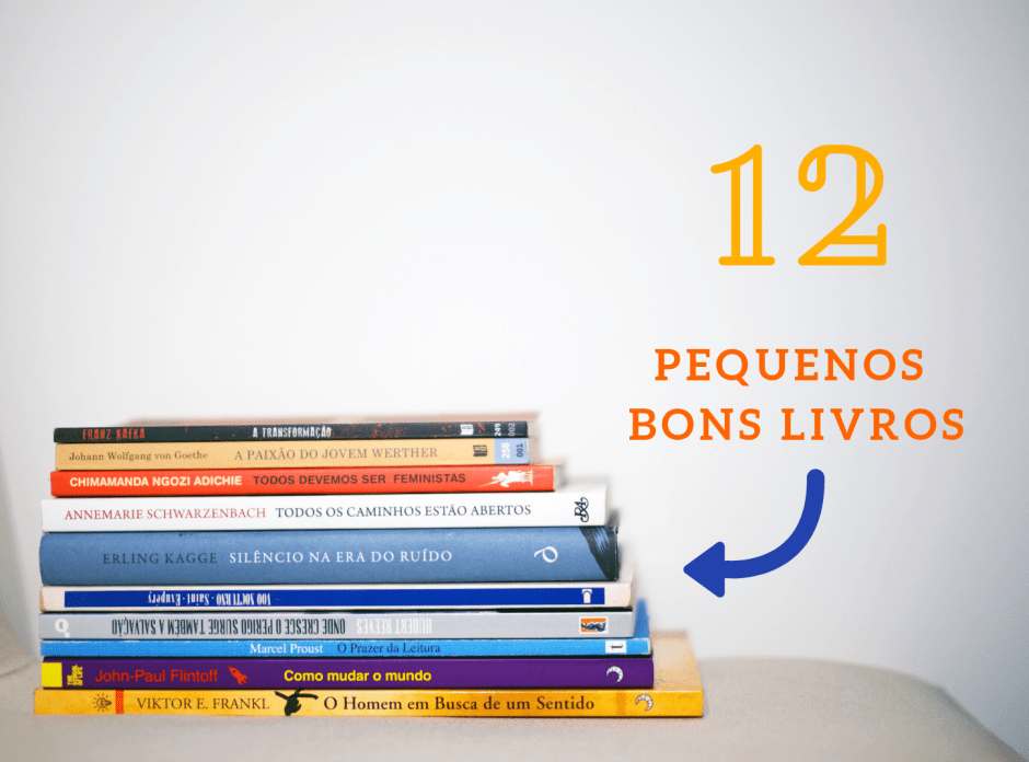 A Biblioterapeuta - Biblioterapia - Sandra Barão Nobre - 12 bons pequenos livros