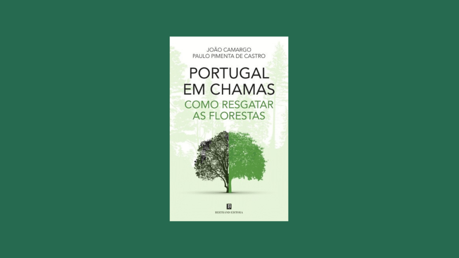 1 Minuto de Leitura - A Biblioterapeuta - Biblioterapia - Sandra Barão Nobre - Portugal em Chamas - João Camargo - Paulo Pimenta de Castro