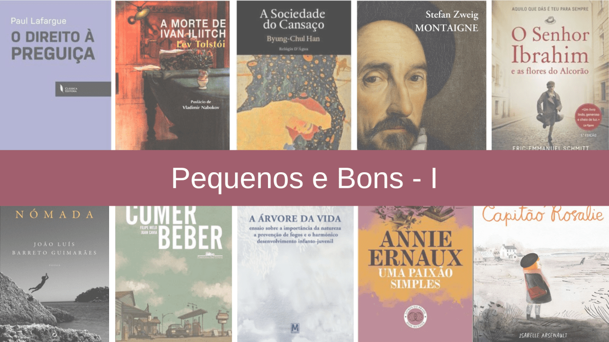 24 livros até 100 páginas